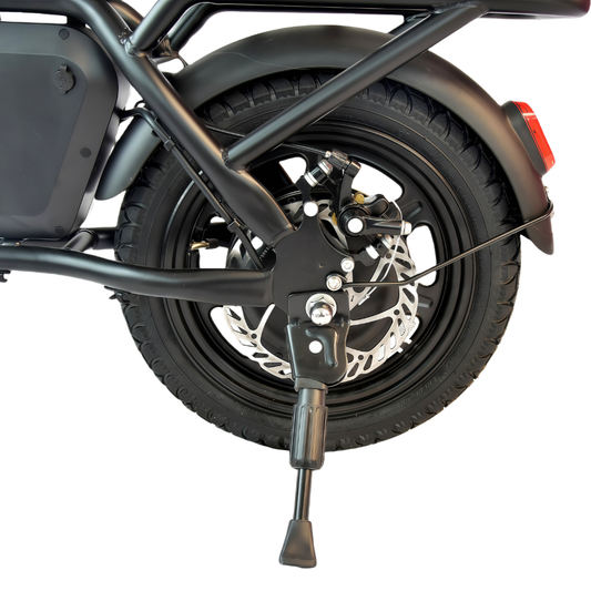BX E-bike