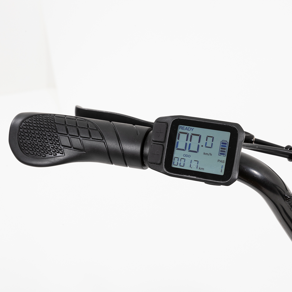 R.X E-bike