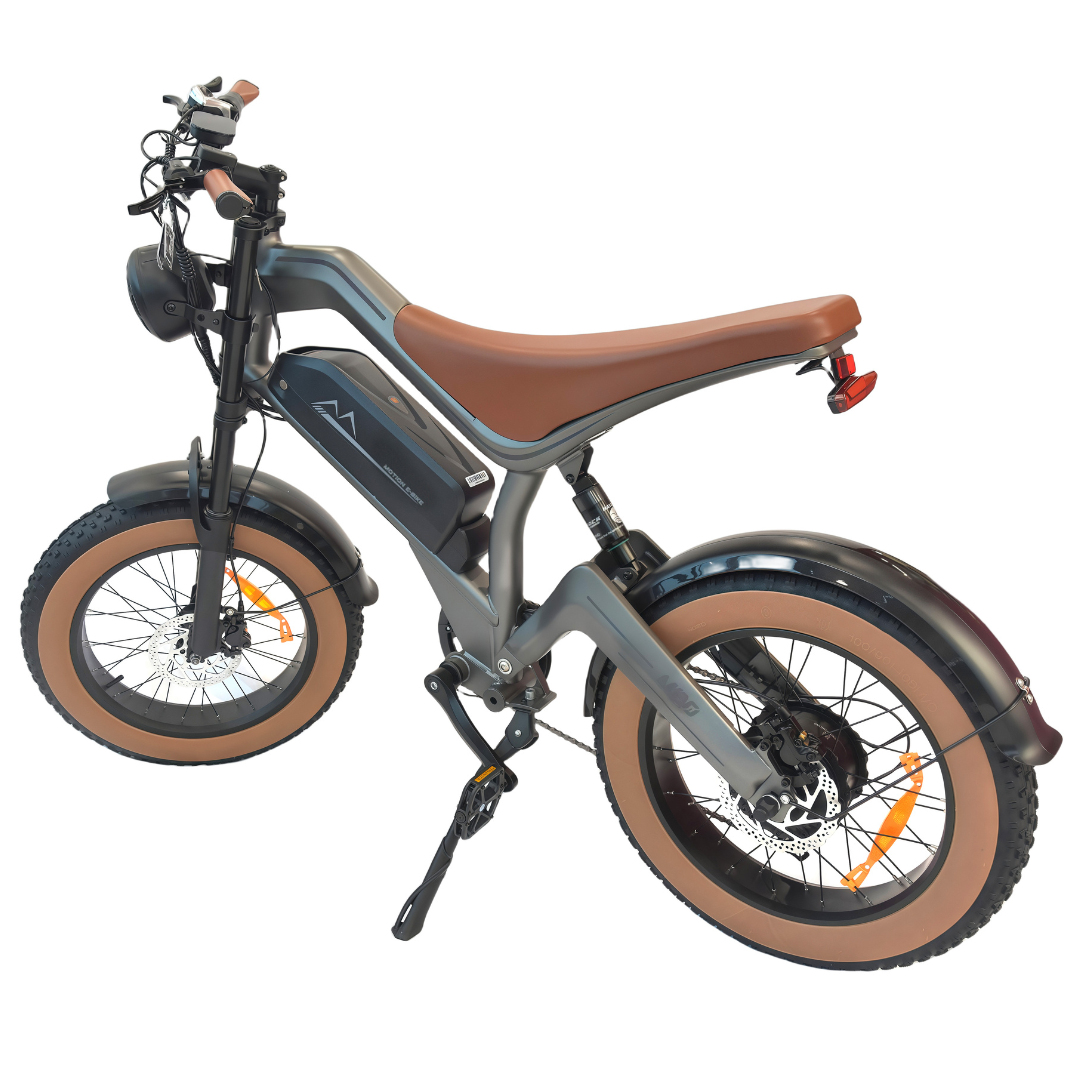 M20 E-bike