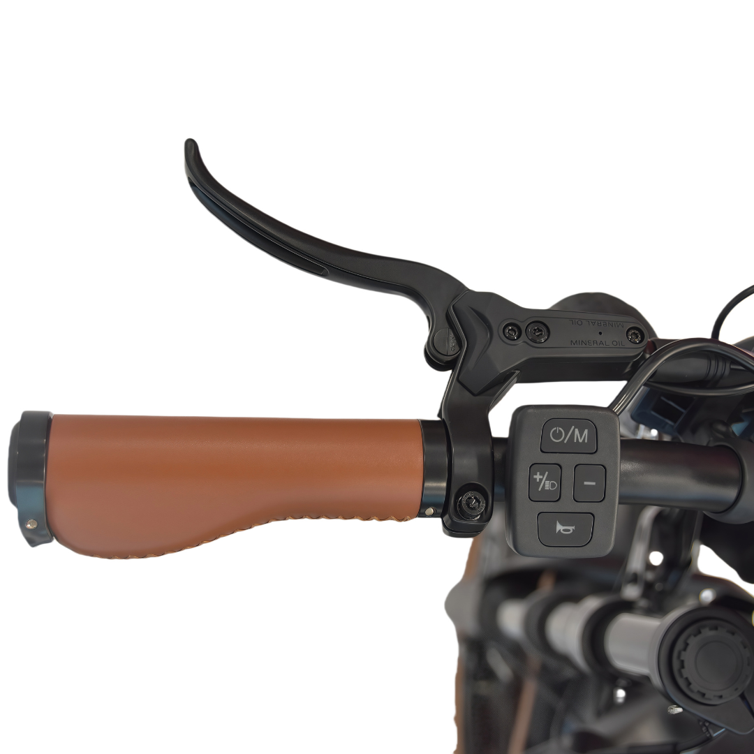M20 E-bike