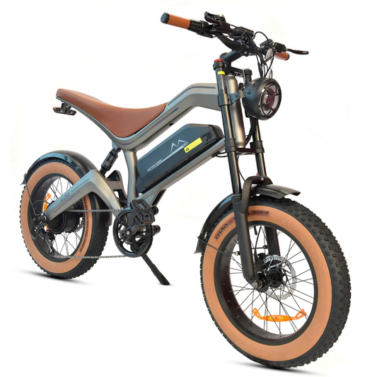 M20 E-bike