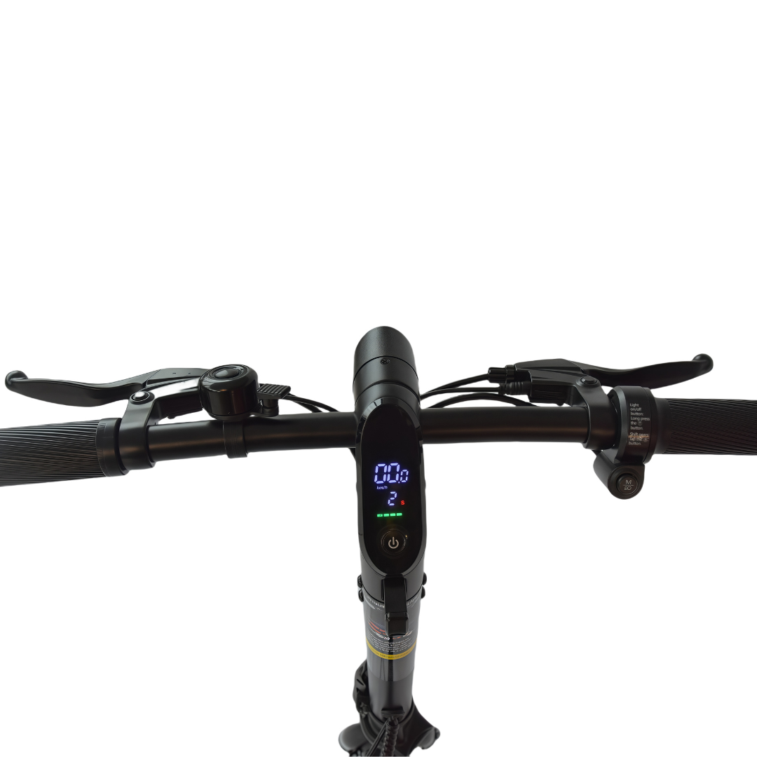 BX E-bike