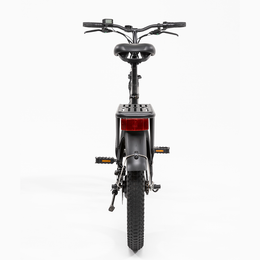 F.X E-bike