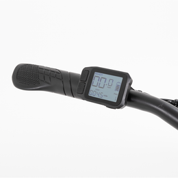F.X E-bike