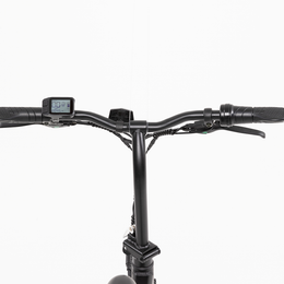 F.X E-bike