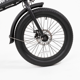 F.X E-bike