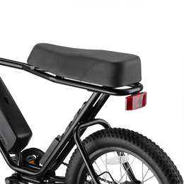 Z.X E-bike