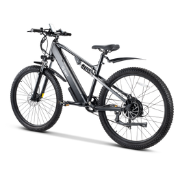 APEX E-bike