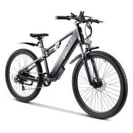 APEX E-bike