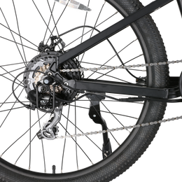 APEX E-bike