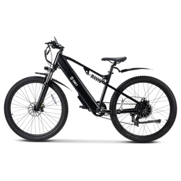 APEX E-bike