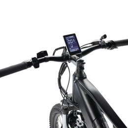 APEX E-bike